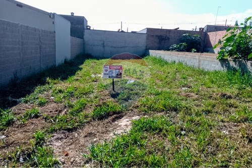 Venda-Terreno-Jardim Residencial das Palmeiras , Rio Claro , São Paulo , 13502488-690811057-31