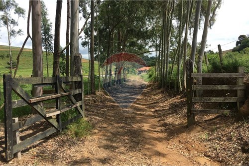 Venda-Fazenda-Estrada Agudo - Sertãozinho , 0  - Igrejinha  - Agudos , Socorro , São Paulo , 13960000-690521014-114