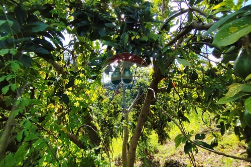 Slider Image Thumbnail