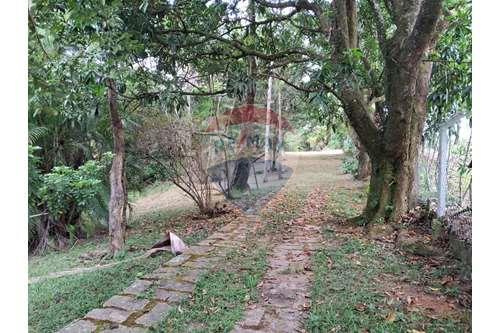 Venda-Chácara / Sítio / Fazenda-Rua Alameda dos Marmeleiros , 58  - Caixa  D´agua  - Chácaras Alpina , Valinhos , São Paulo , 13274712-690851076-164