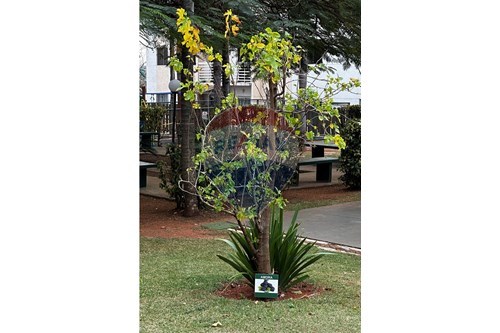 Slider Image Thumbnail