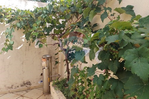 Slider Image Thumbnail