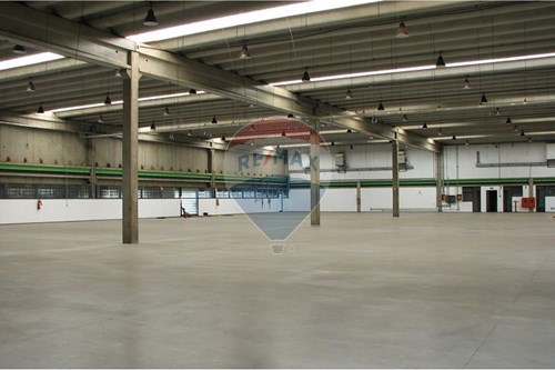 Alugar-Galpão-Barão Geraldo , Campinas , São Paulo , 13082800-690331002-218