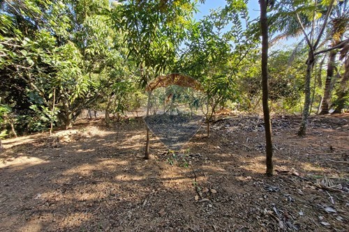 Venda-Terreno-Rua Mario Finotelli , 755  - Chácara Recreio Floresta , Jaguariúna , São Paulo , 13913006-690671008-324