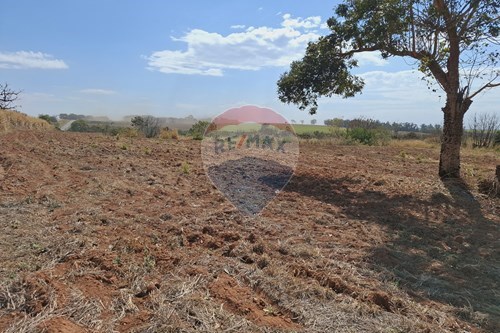 Venda-Terreno-Rodovia Mogi Mirim – Limeira, km 64 , SN  - Rodovia Mogi Mirim/Limeira  - Sobradinho , Mogi Mirim , São Paulo , 13800-970-690681090-43