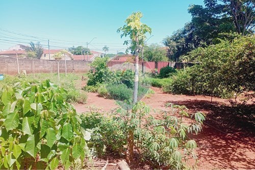 Venda-Terreno-Rua Edna de Barros Sanches , 26  - Dia supermercado  - Vila Santa Isabel , Campinas , São Paulo , 13084235-690331002-32