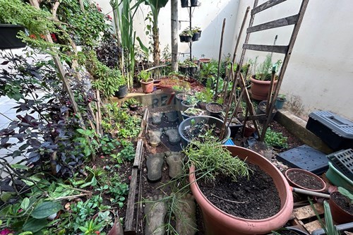 Slider Image Thumbnail