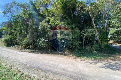 Venda-Terreno-Jardim Leblon , Registro , São Paulo , 11900000-690061045-8