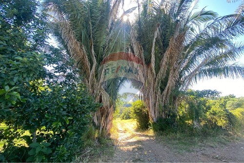 Venda-Chácara / Sítio / Fazenda-Estrada Municipal Josephina Vicchini Alves , 100  - Sítio Santa Bárbara  - BIRIÇÁ DO VALADO , Bragança Paulista , São Paulo , 12918252-690041103-11