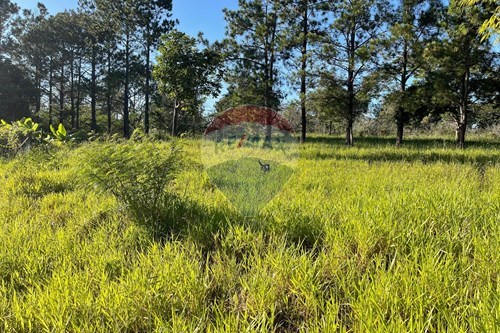 Venda-Terreno-Portal Barragem do Jacarei , Bragança Paulista , São Paulo , 12929990-690041052-92