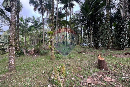 Venda-Terreno-Estância São José , Peruíbe , São Paulo , 11750000-691111006-61