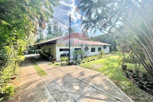 Venda-Chácara / Sítio / Fazenda-Rua Mario Augusto Mascia , 3647  - Rua Mario Augusto Mascia  - Chácara Velosa , Araraquara , São Paulo , 14806530-690151043-61