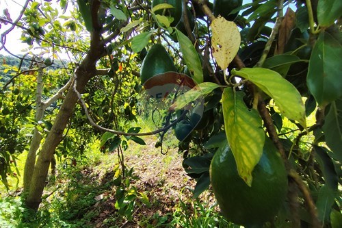 Slider Image Thumbnail