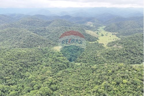 Venda-Fazenda-Centro , Miracatu , São Paulo , 11850000-690061038-5