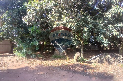 Venda-Chácara / Sítio / Fazenda-Alto do Mirante , Mogi Mirim , São Paulo , 13802170-690751061-28