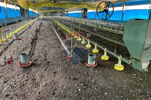 Slider Image Thumbnail