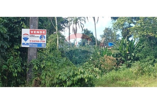 Venda-Terreno-Boracéia , Bertioga , São Paulo , 11271105-690341034-10