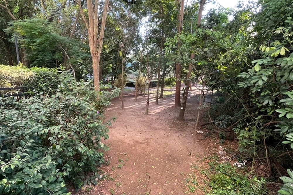 Apartamento à venda com 3 quartos, 83m² - Foto 50