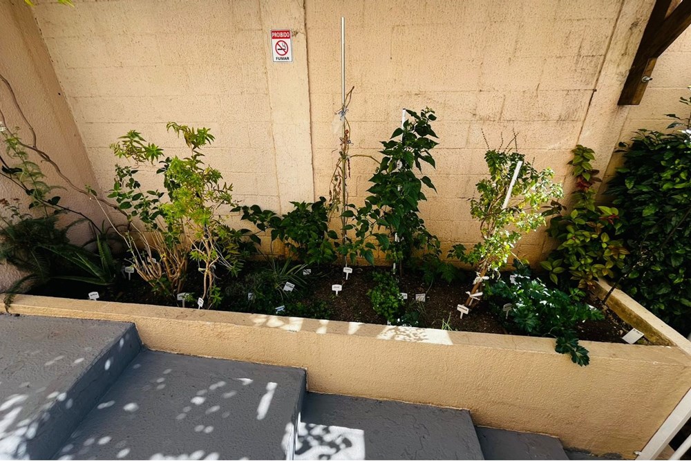 Apartamento à venda com 2 quartos, 51m² - Foto 20