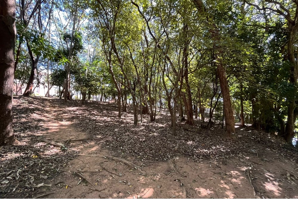 Casa de Condomínio à venda com 3 quartos, 231m² - Foto 57