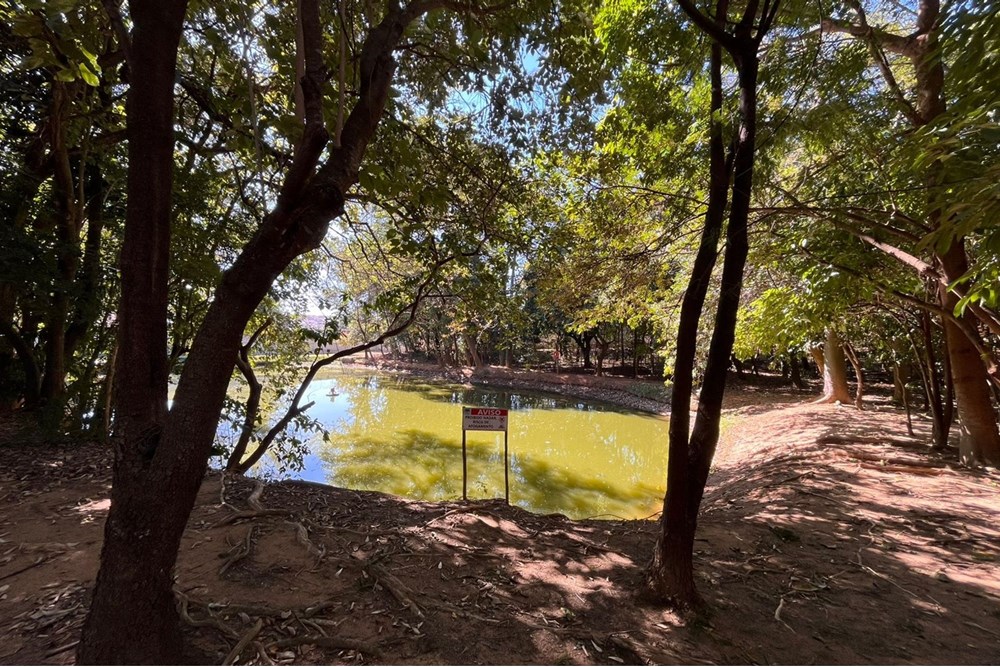 Casa de Condomínio à venda com 3 quartos, 231m² - Foto 54