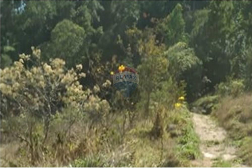 Chácara / Sítio / Fazenda - Venda - Serra Negra , São Paulo - WhatsApp Image 2025-01-14 at 18.09.44.jpeg - 690681090-34