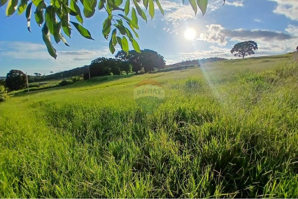 Chácara / Sítio / Fazenda - Venda - Itapira , São Paulo - WhatsApp Image 2025-04-08 at 15.04.53.jpeg - 690291039-39