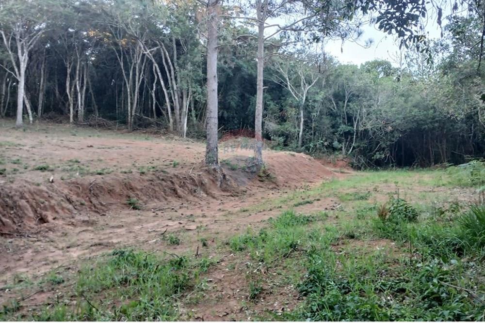 Terreno - Venda - Bragança Paulista , São Paulo - 20250530_164022.jpg - 690141085-18