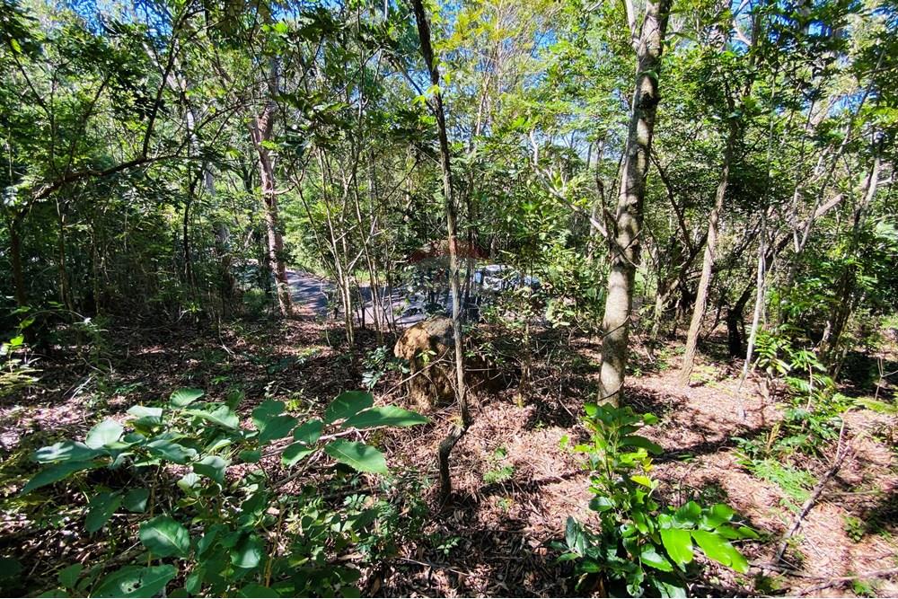 Terreno - Venda - Atibaia , São Paulo - IMG_0079.jpg - 690921107-2