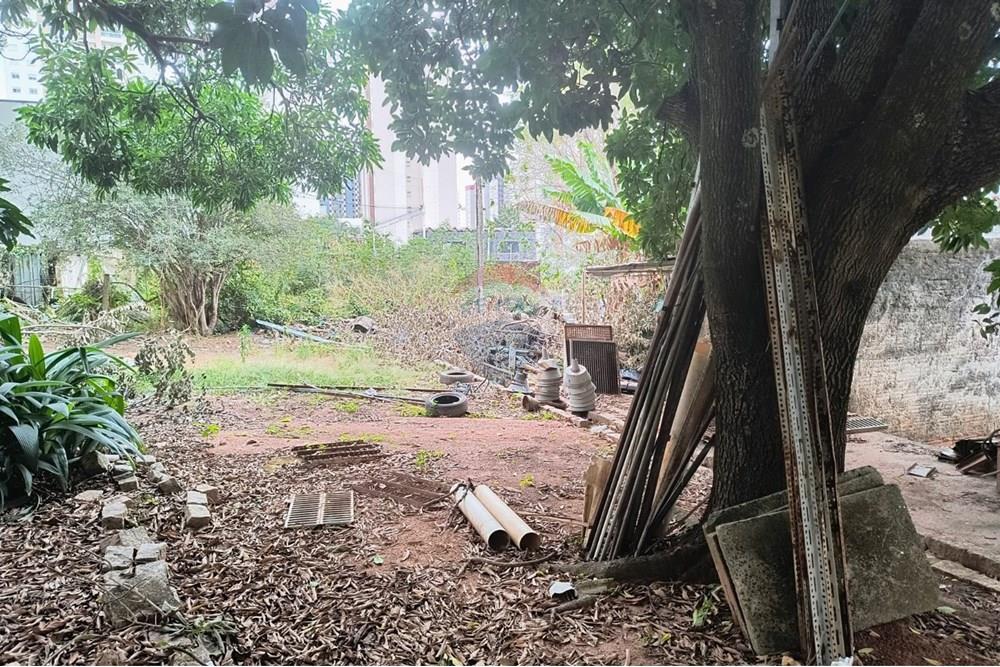 Terreno - Alugar - Campinas , São Paulo - WhatsApp Image 2025-06-30 at 16.57.02.jpeg - 690681149-23