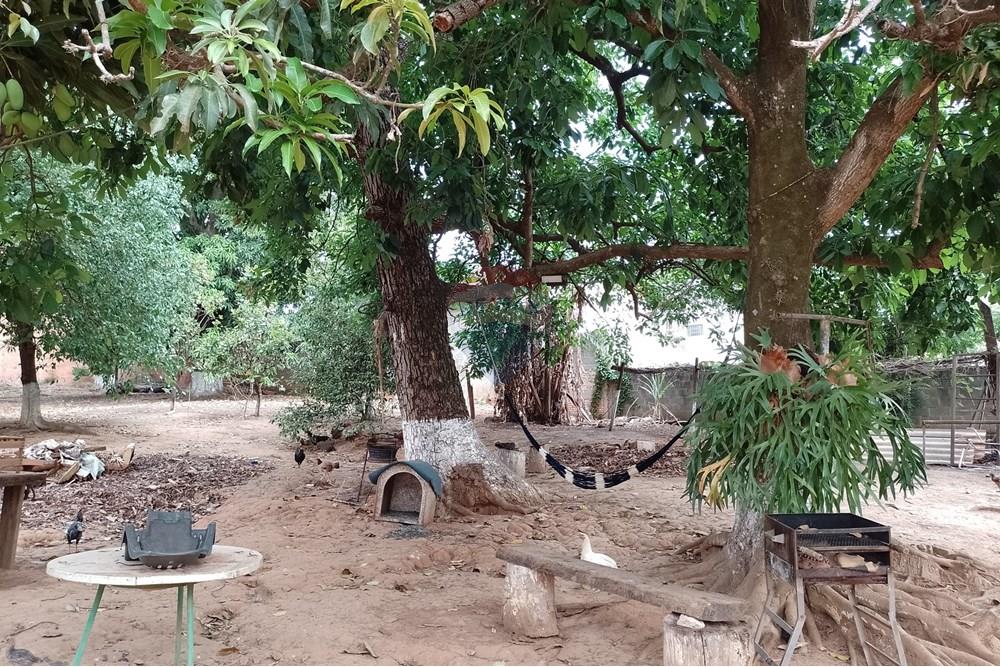 Terreno - Venda - Cosmópolis , São Paulo - fachada (15).jpg - Jardim Interno - 690831047-354