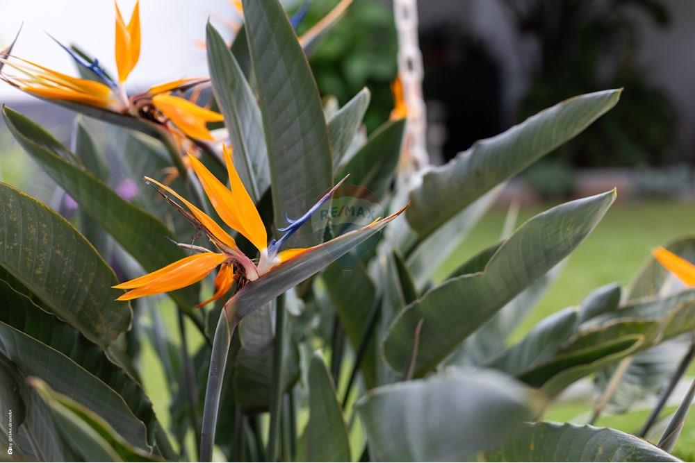 Casa de Condomínio - Venda - Louveira , São Paulo - TKD-7456.jpg - 690051046-26