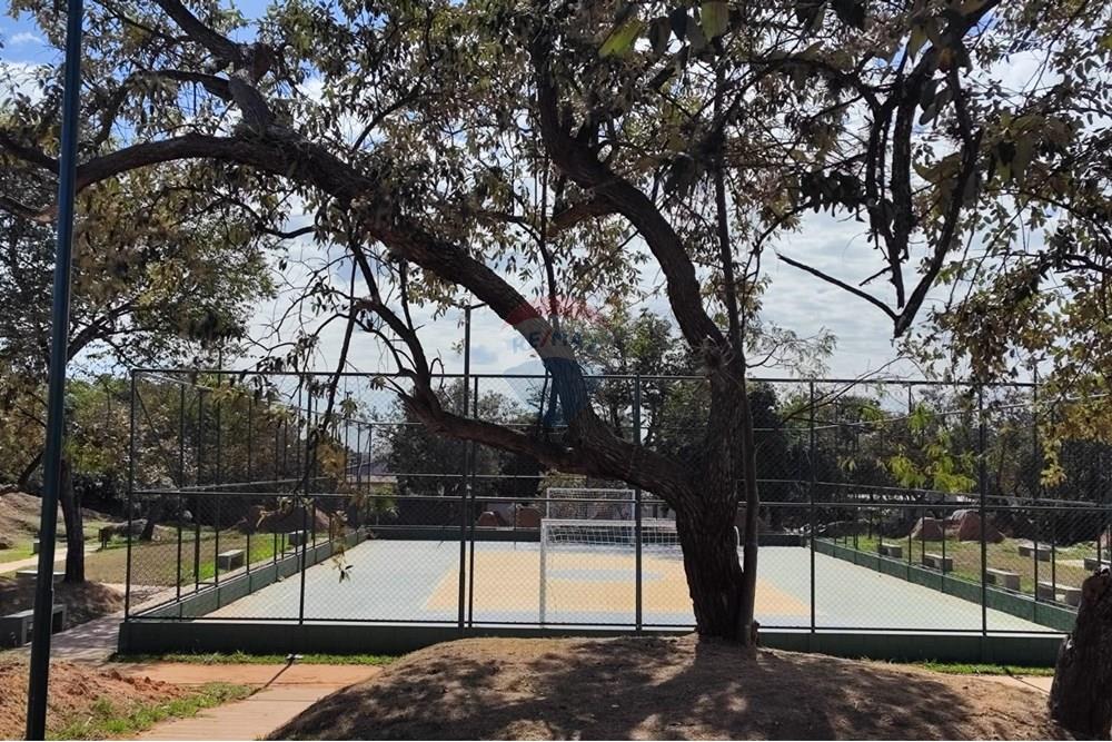 Chácara / Sítio / Fazenda - Venda - Paulínia , São Paulo - WhatsApp Image 2025-06-23 at 11.27.59 (2).jpeg - 690511152-103