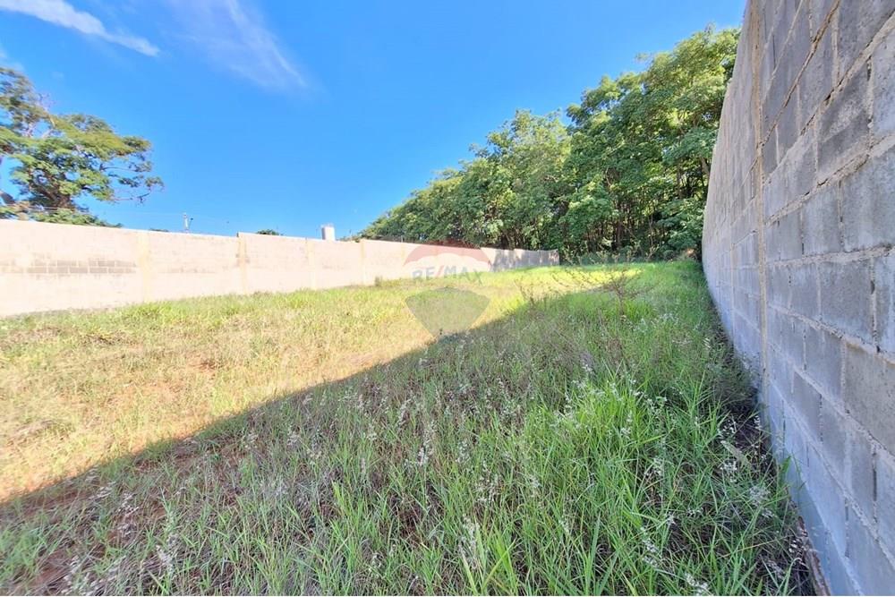 Terreno - Alugar - Mogi Mirim , São Paulo - IMG-20241209-WA0030.jpg - 690751048-95