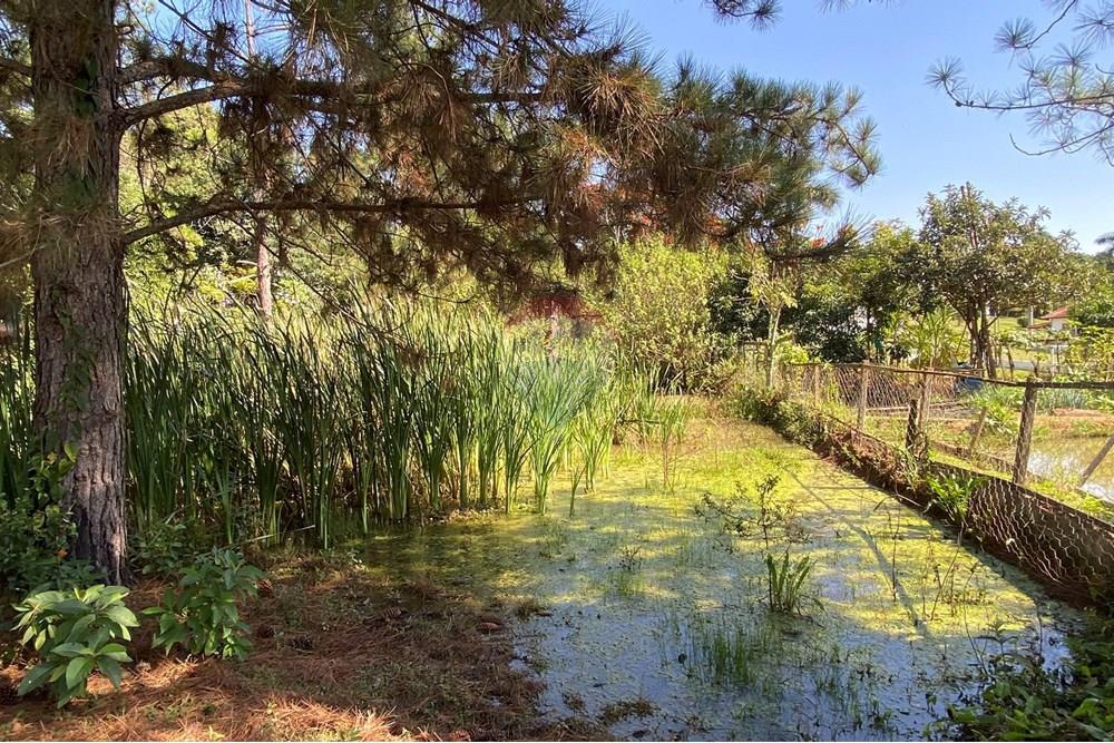 Chácara / Sítio / Fazenda - Venda - Jarinu , São Paulo - z17.JPEG - 691121002-11