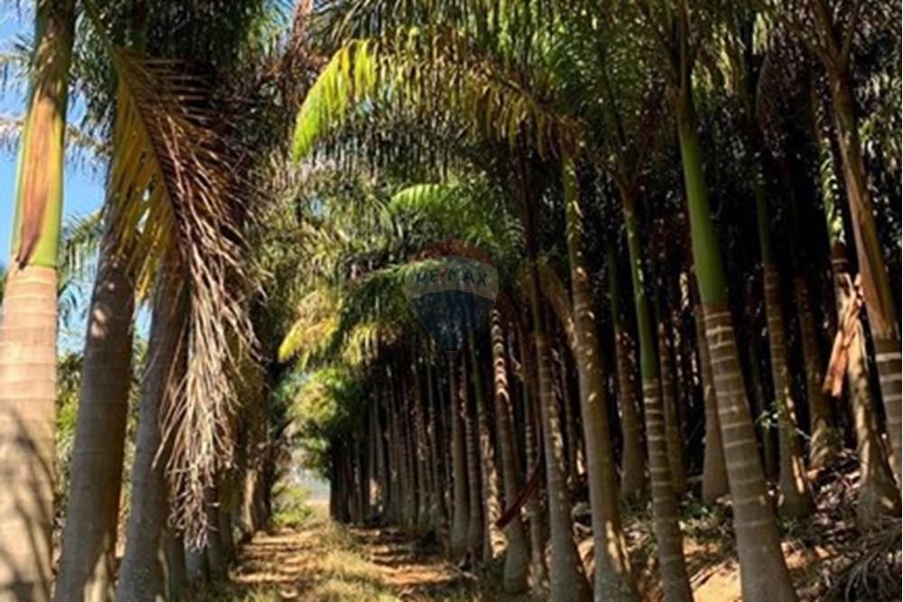 Chácara / Sítio / Fazenda - Venda - Amparo , São Paulo - WhatsApp Image 2025-06-25 at 17.43.59 (1).jpeg - 690661027-111