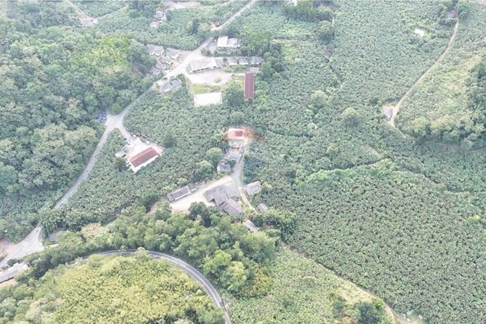 Fazenda - Venda - Miracatu , São Paulo - WhatsApp Image 2025-06-02 at 19.48.30.jpeg - 690061038-8