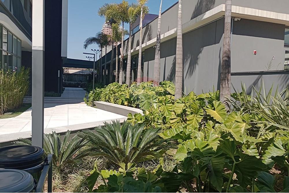 Apartamento - Alugar - Barueri , São Paulo - IMG_20250815_111506496.jpg - 691081002-25