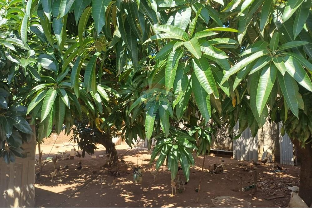 Terreno - Venda - Hortolândia , São Paulo - fujiko14.jpg - 690531095-32