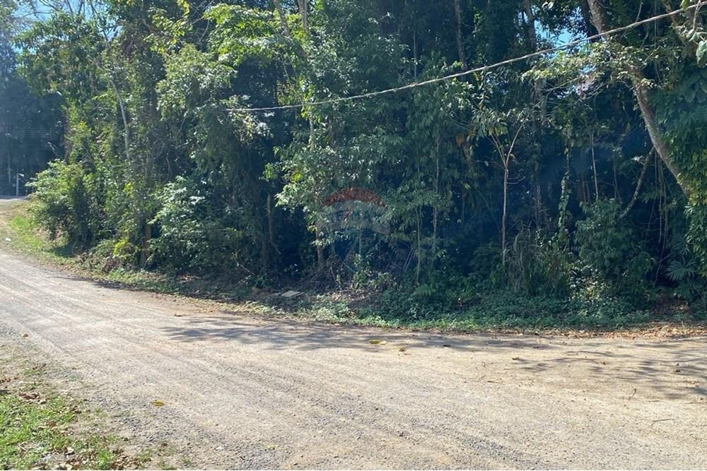 Terreno - Venda - Registro , São Paulo - Imagem do WhatsApp de 2025-09-03 à(s) 13.07.33_3fad6840.jpg - 690061045-8