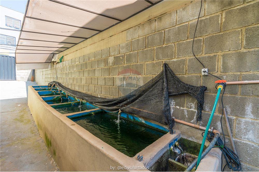 Ponto Comercial/ Loja - Venda - Vinhedo , São Paulo - 18 - 691091010-159