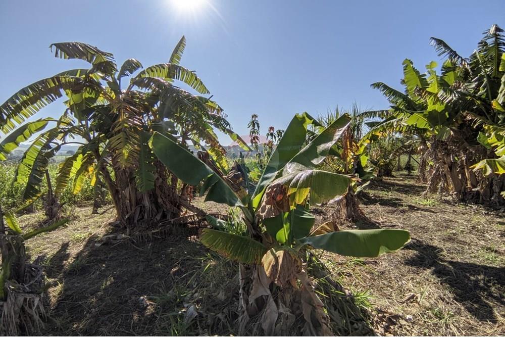 Terreno - Venda - Mogi Guaçu , São Paulo - 11.jpeg - 690521018-187