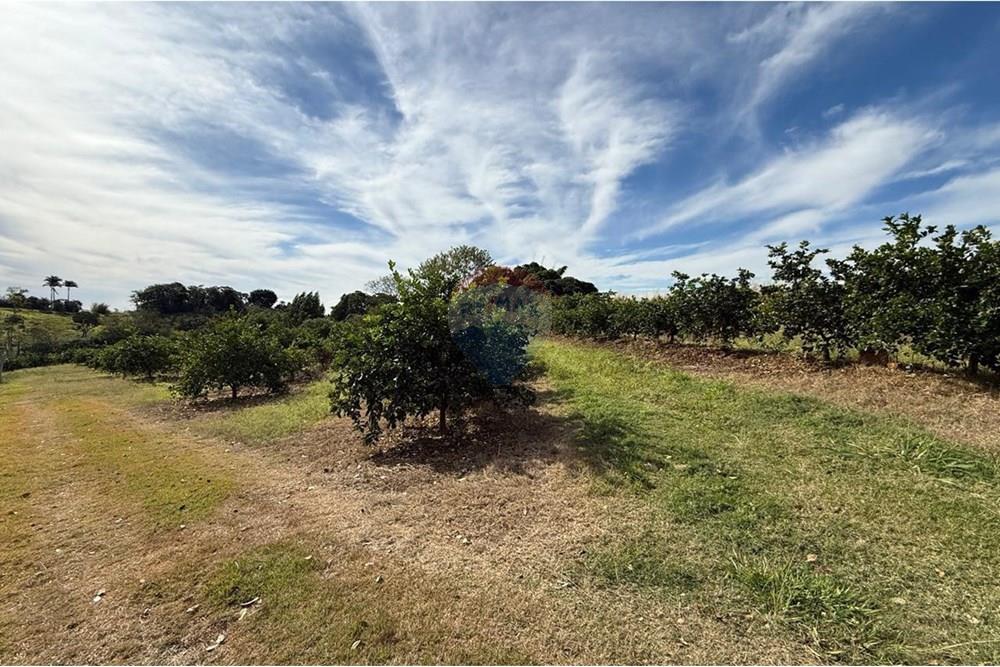 Chácara / Sítio / Fazenda - Venda - Itapira , São Paulo - WhatsApp Image 2025-07-07 at 10.48.25.jpeg - 690521014-143