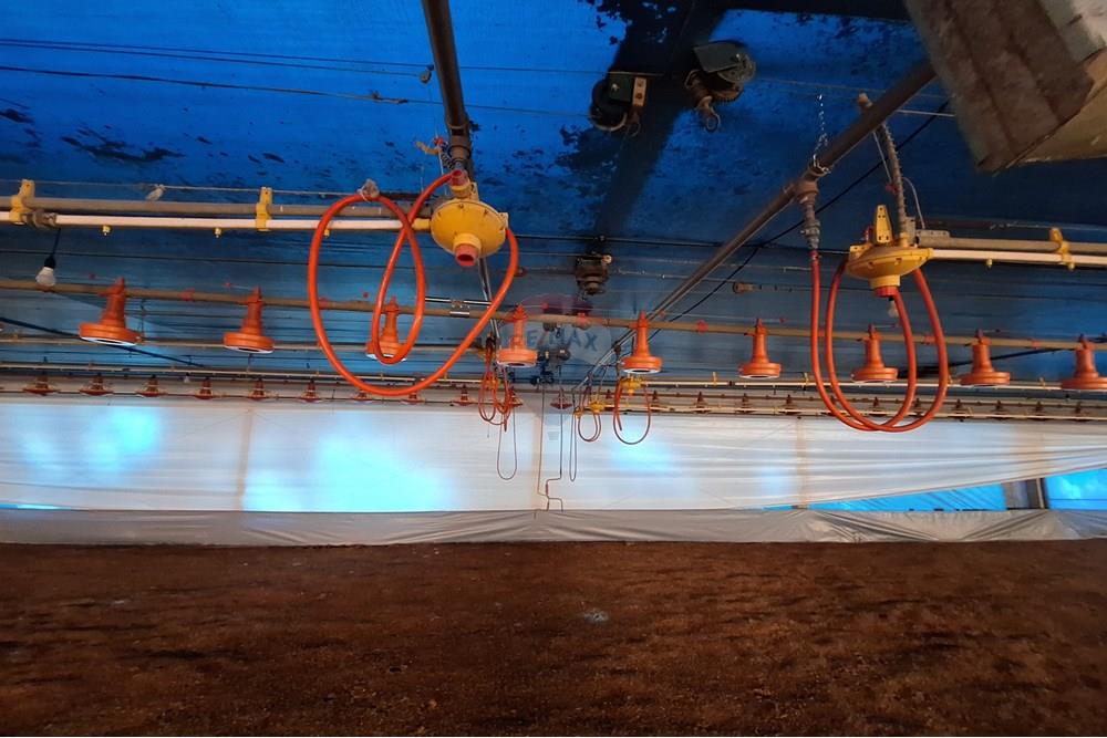 Chácara / Sítio / Fazenda - Venda - Itapira , São Paulo - 20250626_094142.jpg - 690751048-290