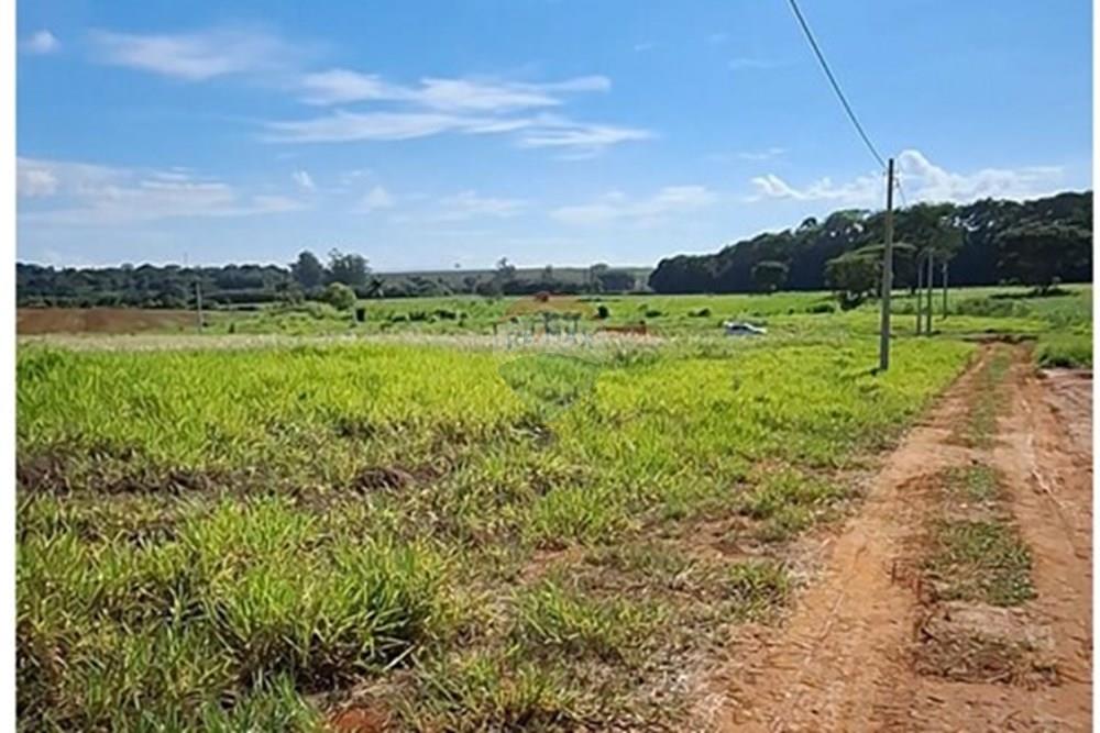 Terreno - Alugar - Mogi Mirim , São Paulo - IMG-20241209-WA0043.jpg - 690751048-95