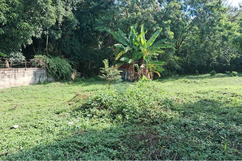 Terreno - Venda - Mogi Mirim , São Paulo - terr 19.jpeg - 690751036-49