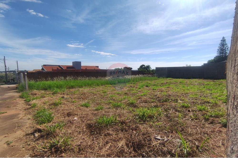 Terreno - Venda - Mogi Mirim , São Paulo - IMG_20250417_093222.jpg - 690751048-122