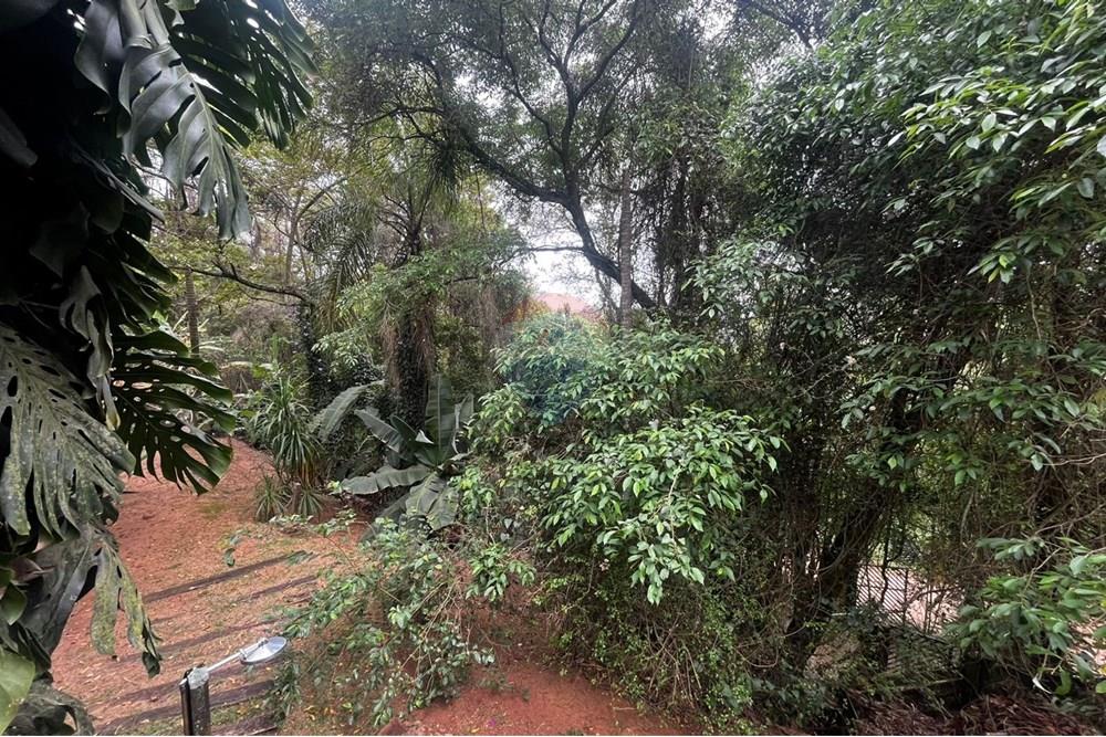 Elamine - Farm / Talu - Jundiaí , Sao Paulo - BR - WhatsApp Image 2025-10-10 at 14.37.20 (4).jpeg - 690791001-231