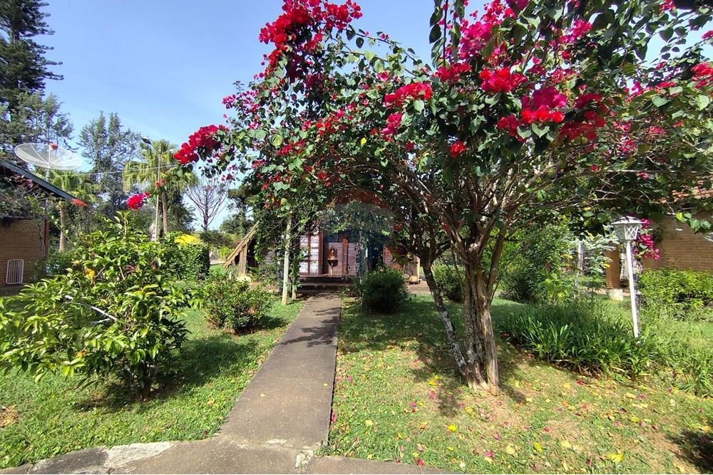 Chácara / Sítio / Fazenda - Venda - Águas de Lindóia , São Paulo - 1750451210194.jpg - 690521007-293