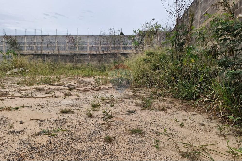 Terreno - Venda - Paulínia , São Paulo - Imagem do WhatsApp de 2025-08-19 à(s) 10.50.23_9f456748.jpg - 690511140-28